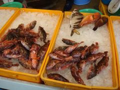-西归浦每天偶来市场