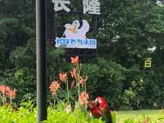 -广州长隆飞鸟乐园