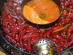 -蜀大侠火锅(东园路店)