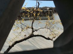 -个园