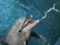 -苏州海洋馆