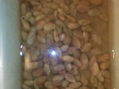 -合家小菜餐馆(新诚花苑店)