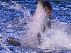 -福州罗源湾海洋世界旅游区