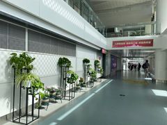 -银川河东国际机场