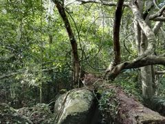 -七仙岭温泉国家森林公园