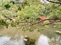 -蝴蝶泉公园