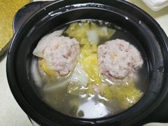 -丁老爷子苏香圆