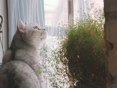 -不舍昼夜咖啡馆