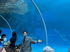 -香港海洋公园