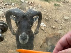 -无锡动物园·太湖欢乐园