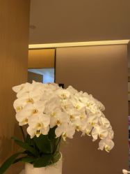 -Yestar杭州艺星医疗美容医院