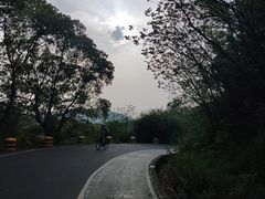 -惠山国家森林公园