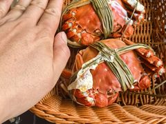 -渔娘蟹庄(阳澄湖莲花岛店)