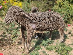 -北京西山国家森林公园