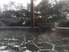 紫清湖生态旅游温泉度假区-南京汤山紫清湖生态旅游温泉度假区