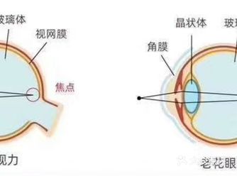 当我看不清手机短信或者药品在看报纸的时候 需要把报纸