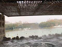 -春晖园度假酒店温泉