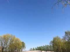 -东郊湿地公园