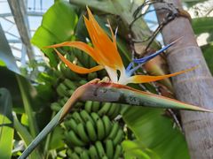 -国家植物园南园