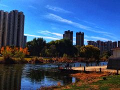 -长白岛森林公园