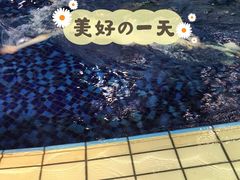 -福田体育公园游泳馆
