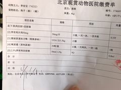 -北京观赏动物医院·24小时大型综合·猫专科·异宠专科