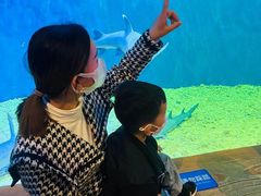 -华夏文旅海洋公园