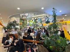 -野人先生Gelato(上海长宁龙之梦店)