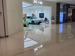 -小鹏汽车(北京龙湖长楹天街销售中心)