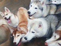 -TrueLove @ Neverland (Husky Cafe)