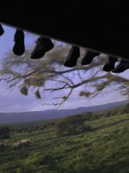 -翱翔飞越地平线