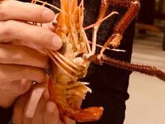 -农汤老店(顺联公园里店)