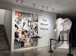 -大象映画旗舰店