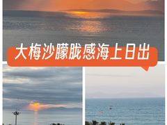 -大梅沙海滨公园