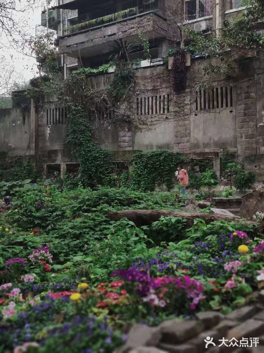 最近很火的小众打卡圣地🌟废墟之上仍有浪漫重生🌹