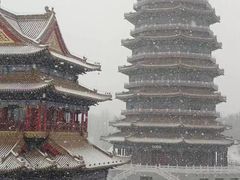 -兰山公园
