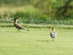 -昆明春城湖畔度假村