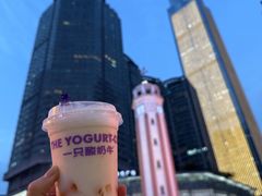 -一只酸奶牛(八一路店)