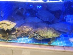 -王捌小院(红花坡店)