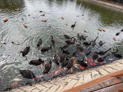 -泉州海丝野生动物世界