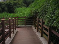 -苏州河梦清园环保主题公园