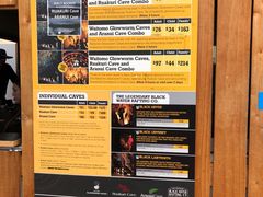 -怀托摩萤火虫洞