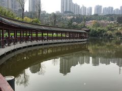 -龙头寺公园
