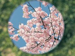 -上海辰山植物园