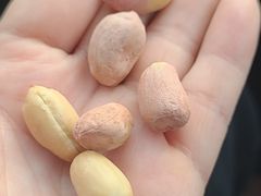 -清真-‖京尹芳斋‖子色甜品‖无糖生日蛋糕低卡甜品