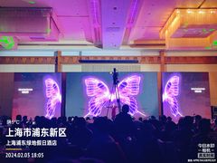 -上海浦东康桥绿地假日酒店
