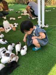 -萌宠亲子动物乐园(槐房万达店)