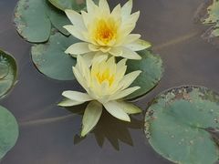 -中国客家博物馆