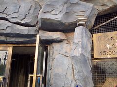 -狼遇见羊烧烤·现穿现烤(旧宫店)