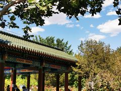 -莲花池公园